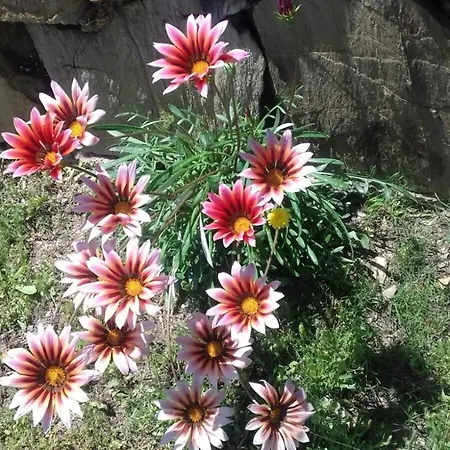 Bed & Breakfast La Rosa Dei Venti Villaputzu