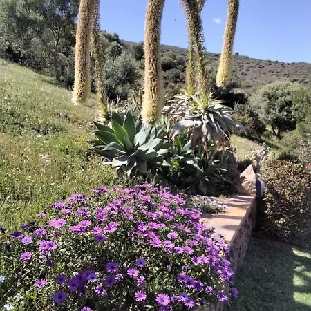 La Rosa Dei Venti Bed & Breakfast